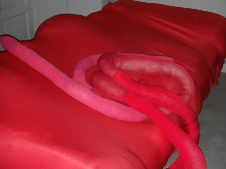 Installation by Maria Pita Guerreiro for Happy Gut Feeling