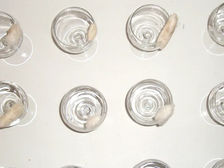 Vernissage of Caterpillar Girl Diaries with cocoon-garnished drinks