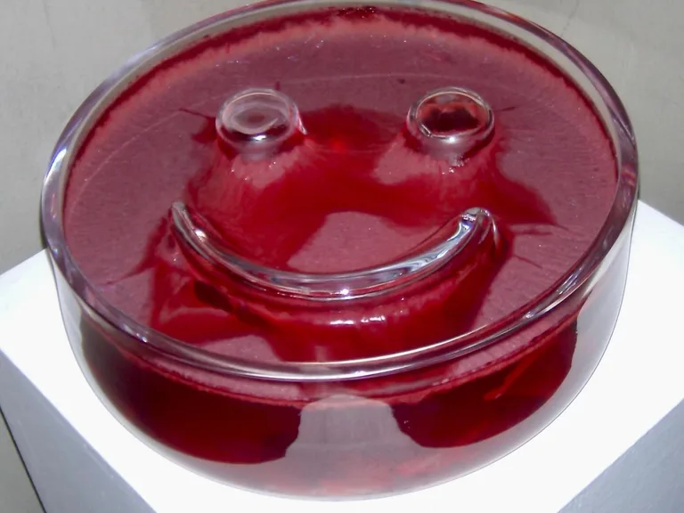 Smiley Bowl, handblown glass fermentation bowls by Maria Pita Guerreiro