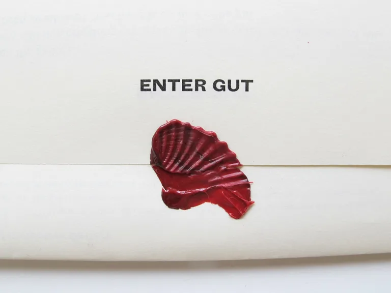 Limited edition Enter Gut programme, design by Kajsa Frisk