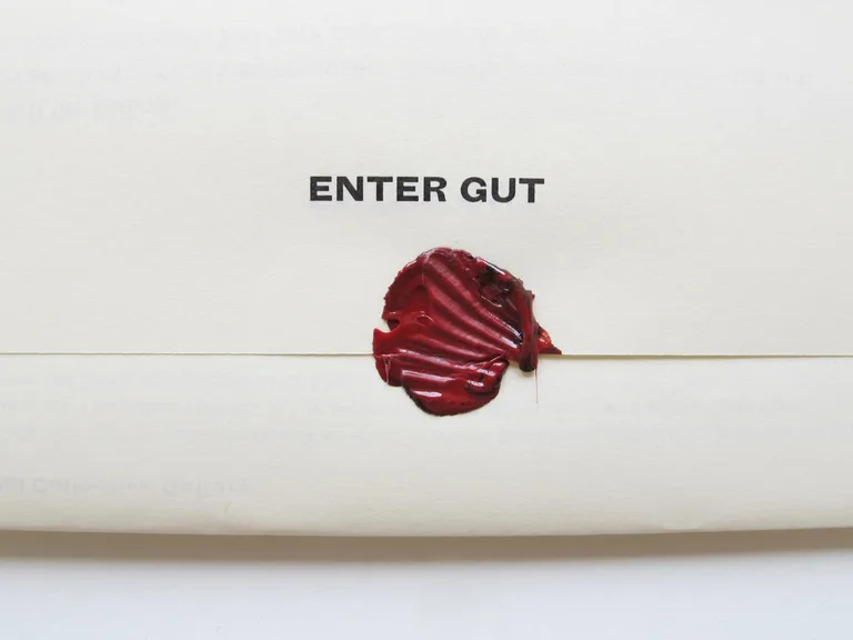Limited edition Enter Gut programme, design by Kajsa Frisk