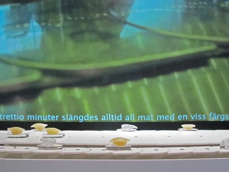 Fragmented video and sculptural elements by Alexandra Sternad