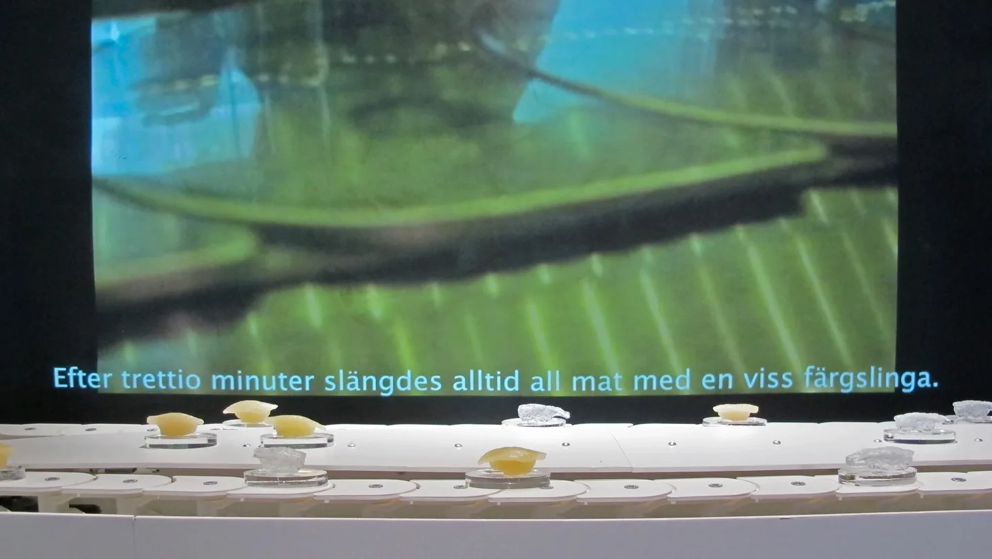 Fragmented video and sculptural elements by Alexandra Sternad